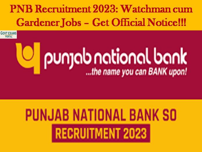 PNB Recruitment 2023: Watchman cum Gardener Jobs – Get Official Notice!!!
